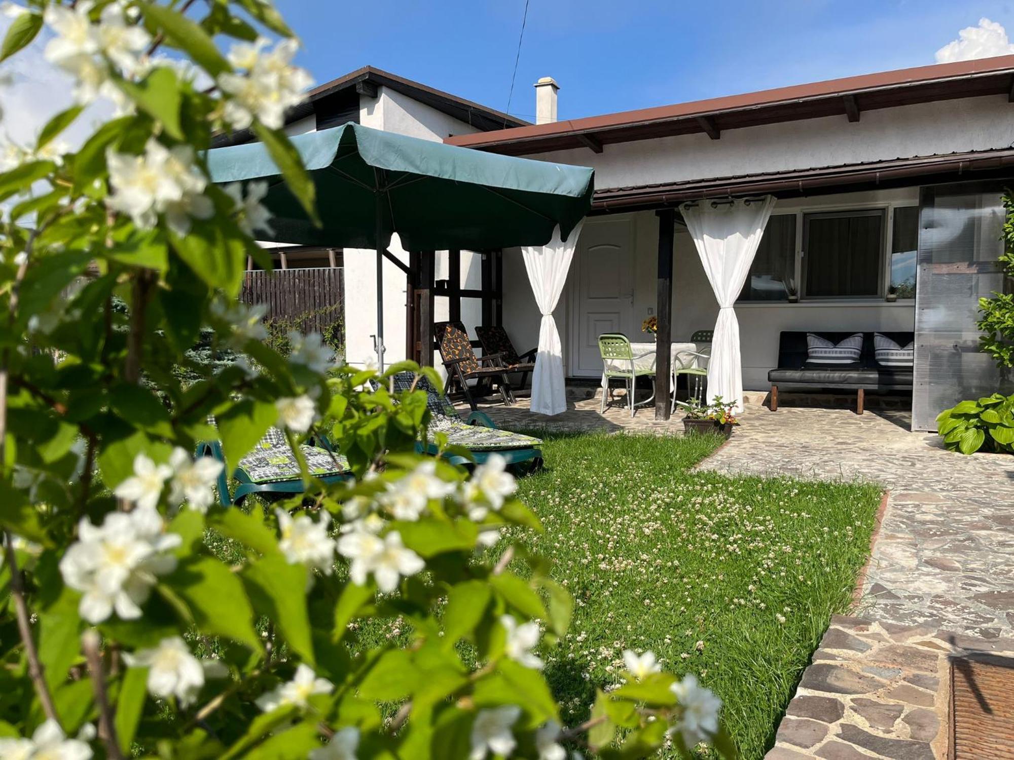 Charmante Petite Maison Transylvanie Villa Sacele Exterior photo